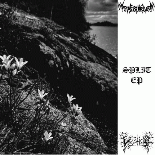 Sciatica (SWE) : Split